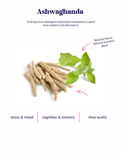 Organic Ashwaganda WellDrops Tincture