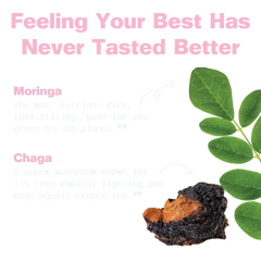 Moringa & Chaga Mushroom Superfood Gummies