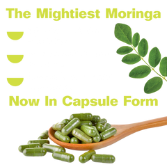 Organic Pure Moringa Powder Capsules (60-Count)