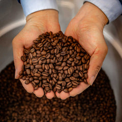 Enzyme Fermented Coffee - Family Size (5lb)