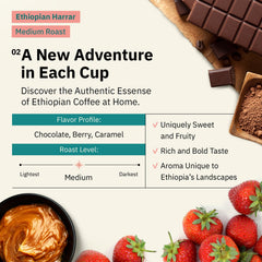 Kochere Coffee Ethiopian Harrar Coffee – Single Origin Natural Medium Roast - Fruity, Berry, Dark Chocolate Notes