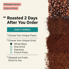 Kochere Coffee Ethiopian Harrar Coffee – Single Origin Natural Medium Roast - Fruity, Berry, Dark Chocolate Notes