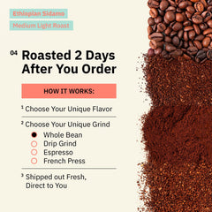 Kochere Coffee Ethiopian Sidamo Natural Medium-Light Roast - Milk Chocolate, Fruity Notes