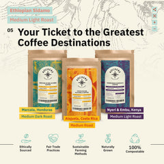 Kochere Coffee Ethiopian Sidamo Natural Medium-Light Roast - Milk Chocolate, Fruity Notes