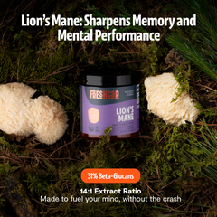 Organic Lion’s Mane Mushroom Powder