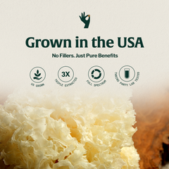 Organic Mushroom Tremella Half Caffeinated - Espresso