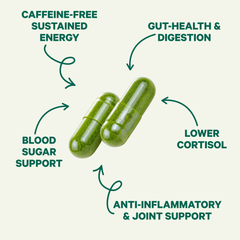 Pure Moringa Capsules for Energy