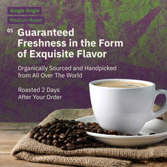 Kochere Coffee Single Origin Coffee Sampler - Roaster's Choice Tasting Kit