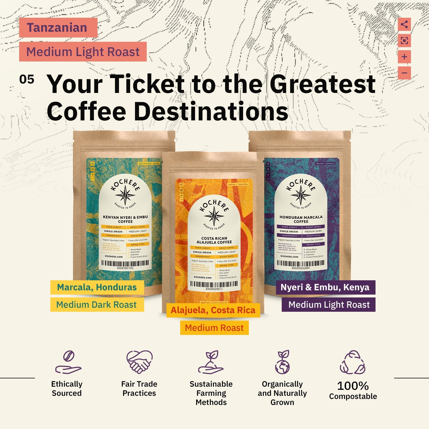Kochere Coffee Tanzanian Mbeya AB Medium-Light Roast - Pear, Floral, Jasmine Notes