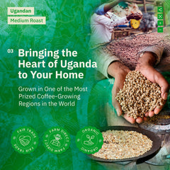 Kochere Coffee Ugandan Sipi Falls Single Origin, Organic Medium Roast - Raisin, Fig, Brown Sugar Notes
