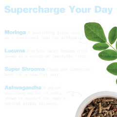 Organic Superfood Energy Shake - Vanilla