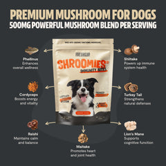 Organic Mushroom Complex for Dogs