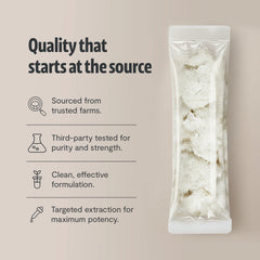 Organic Lion’s Mane Mushroom Powder