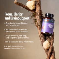 Organic Lion’s Mane Capsules