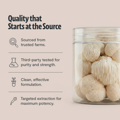 Organic Lion’s Mane Mushroom Powder