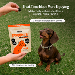Organic Mushroom Complex for Dogs