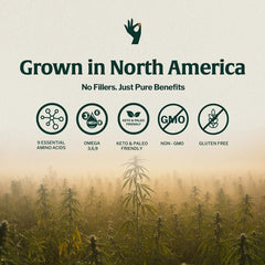Organic Hemp Coffee Singles