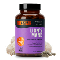 Organic Lion’s Mane Capsules