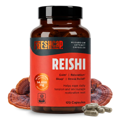 Organic Reishi Mushroom Capsules