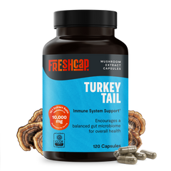 Organic Turkey Tail Mushroom Capsules