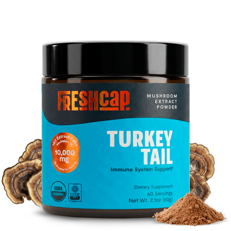 Organic Turkey Tail Mushroom Powder